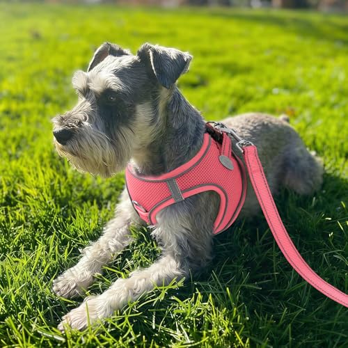 Joytale Small Dog Harness, Breathable Mesh Step-in Vest, Reflective Soft Padded Harnesses for Cats and Puppies Dogs, Pink, XXXS - color: Pink, size: XXXS--Chest: 10.5-12''