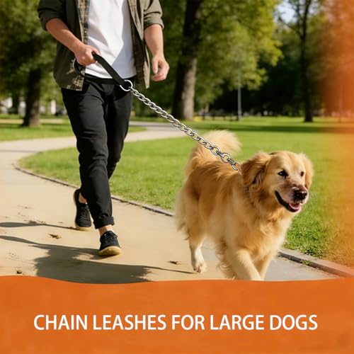 6ft Heavy Duty Metal Chain Leash, Standard Pet Leash chew Proof Dog Leash, Dog Chain for Yard, Chain leashes for Large Dogs