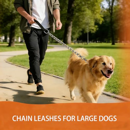 6ft Heavy Duty Metal Chain Leash, Standard Pet Leash chew Proof Dog Leash, Dog Chain for Yard, Chain leashes for Large Dogs