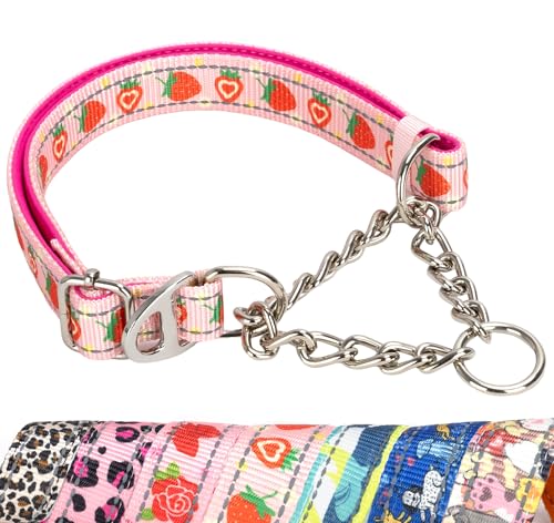 Strawberry Martingale Dog Collar - Reflective No-Pull Training Collar with Adjustable Chain for Medium, Large, XL Dogs, Cute Fruit Design XL - color: 14, size: XL(Neck21"-27")