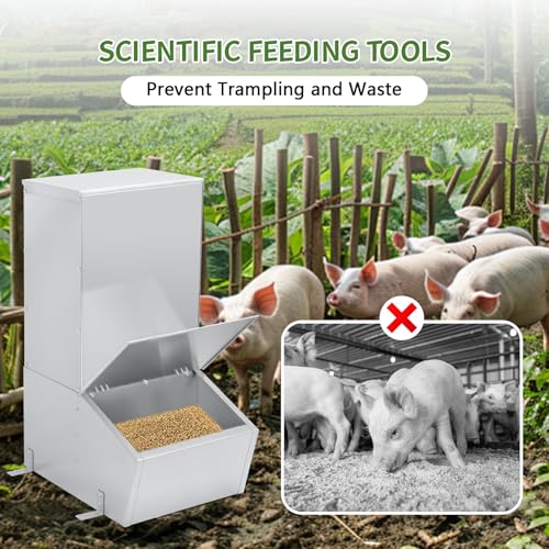 1.5 Bushel Hog Feeder, Automatic Single Door Pig Trough with Heavy Duty Galvanized Steel, Multipurpose Livestock Feeder for Supplemental Feeding and Outdoor Use (Single Door)