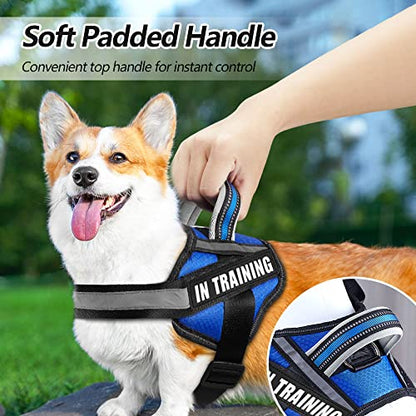 Dog Vest Harness and Patches Set, Animire in Training Service Dog Harness with 10 Dog Patches, Reflective Dog Vest with Handle for Small, Medium, Large, and Extra-Large Dogs - color: Blue, size: SMALL (Chest: 17.5-23 Inch)