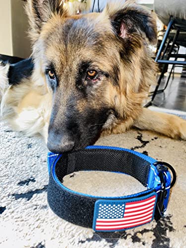 Tactical Dog Collar 2 Inch Wide Heavy Duty with Metal 2-Pin Belt Buckle for Medium, Large & XL Dogs, Thick Military-Style K9 Collar, Reflective, with Name Plate Area, USA Flag Patch, Strong & Durable - color: SM-MED BLUE BB, size: 12-20 inches