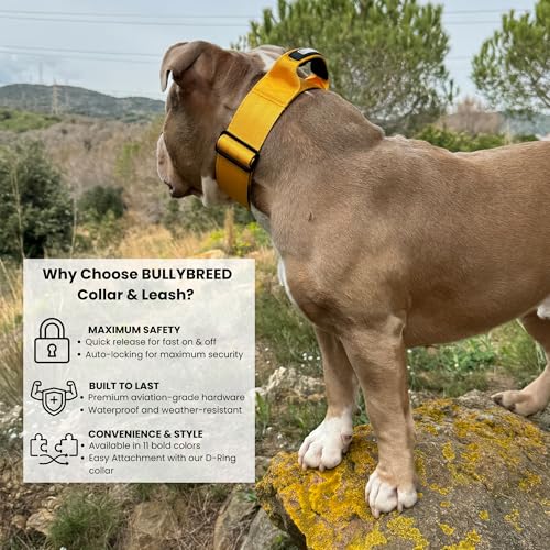 BULLYBREED | Heavy Duty Dog Leash, Tactical Dog Leash, Quick Release Frog Clip with Dual Anti-Tangling Swivel System for Large Dogs That Pull with Soft Handle (Yellow) - color: Yellow