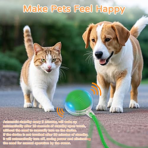 Goosheep 2025 New 1Pack Cat Ball Kitten Toys for Indoor Interactive Kitty Ball Toy Speedy Tail 360° Automatic Rolling for Dog, Cat(Green) - size: 1 Pack