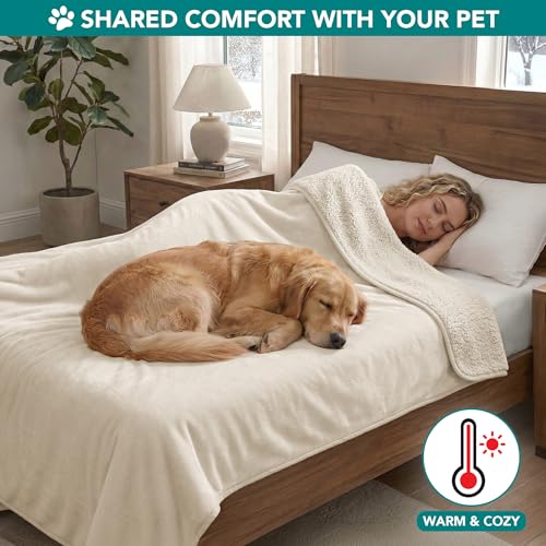 PETAMI Sherpa Fleece Waterproof CAT and Dog Blanket, Beige, Queen - color: Beige, size: Queen (90x90)