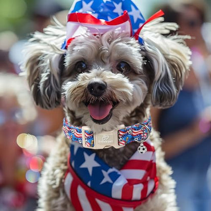 American Soccer Dog Collar Blue Patriotic Dog Collars for Puppy Small Dogs - Lightweight Adjustable 4th of July Puppy Collars Summer Stars & Stripes Male Female Dogs Collar XS - color: USA Soccer, size: XS