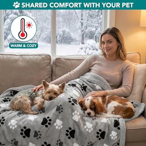 PETAMI Sherpa Fleece Waterproof CAT and Dog Blanket, PAW Gray, Small - color: Paw Gray, size: Small (24x32)