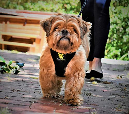 EcoBark Dog Harness - Eco-Friendly Max Comfort Harnesses - Luxurious Soft Mesh Halter - Over the Head Harness Vest- No Pull and No Choke for Puppy, Toy Breeds & Small Dogs (Small, Black) - color: Black