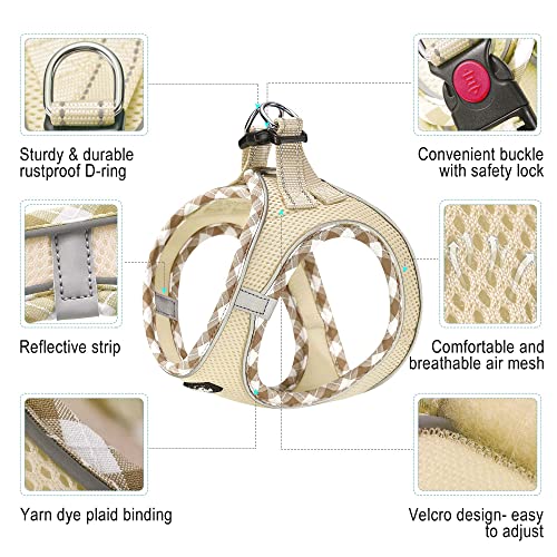 haapaw Dog Harness with Leash Set, No Pull Adjustable Reflective Step-in Puppy Harness with Thickened Padded Vest for Extra-Small/Small Medium Dogs - color: Beige, size: S