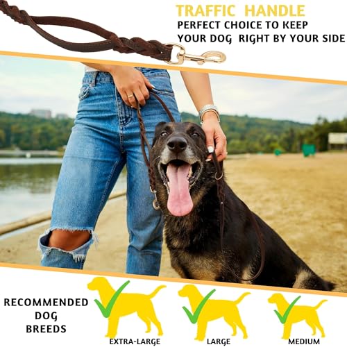ADITYNA - Double Handle Leather Dog Leash 6ft - Heavy Duty Braided Dog Leash with Traffic Handle - Lead for Training and Walking Medium Large Breeds (Brown, Two Handles 6 Foot x 3/4") - color: Brown, size: Two Handles 6 foot x 3/4"