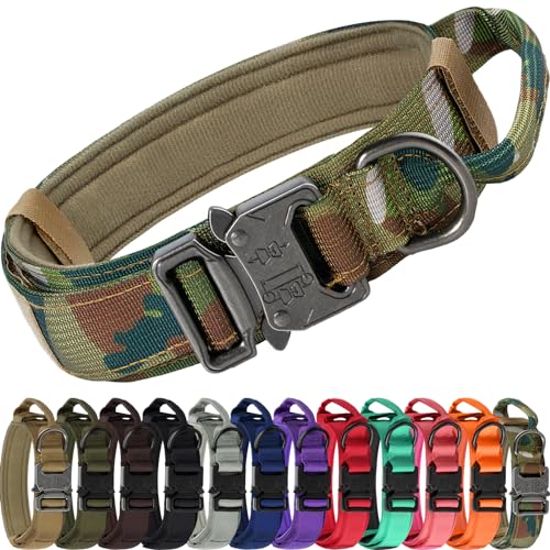 Joytale Tactical Dog Collar with Handle and Metal Buckle, Heavy Duty Padded Military Collar with 2 Patches for Training, Adjustable for Medium Dogs, Camouflage, M - color: Camouflage, size: M
