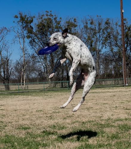 Starmark Easy Glide DuraFoam Flying Disc Dog Toy, Color Varies 11" - size: 11 in
