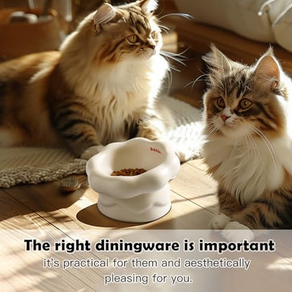 Cloud-Shaped Ceramic Cat Bowl - Elevated Raised Design for Indoor Cats & Kittens,Tilted Anti-Vomiting Shallow Dish with Spine Protection,Cute Whisker-Friendly Ceramic Food Bowls & Dishes (Milky White) - color: Milky White