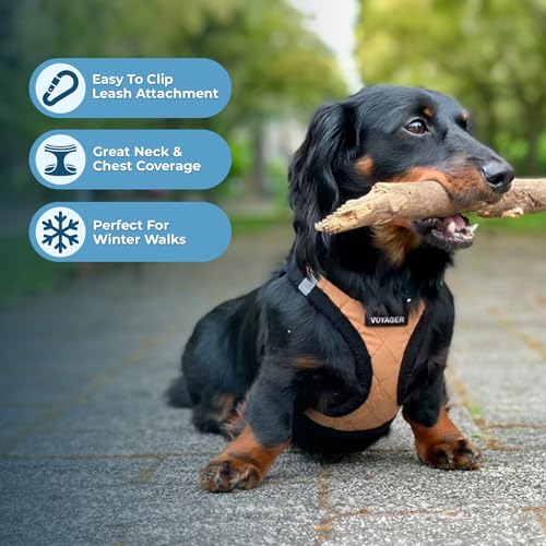 Best Pet Supplies - All Weather Plush, Reflective, No Pull Harness for Small, Medium Dogs, Cats - Secure with Hook & Loop Fastener, Buckle, Double D-Rings - Beige Plush, S - color: Beige Plush, size: S