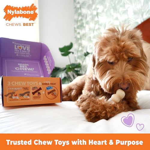 Nylabone Dog Gift Box, Includes 3 Strong Chew Toys and 1 Natural Treat, Gifts for Dogs, Small - Up to 25 lbs, 4 Pack - size: Small (4 Count)