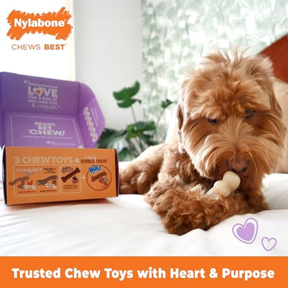 Nylabone Dog Gift Box, Includes 3 Strong Chew Toys and 1 Natural Treat, Gifts for Dogs, Small - Up to 25 lbs, 4 Pack - size: Small (4 Count)