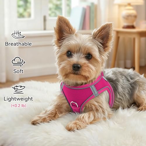 Joytale Small Dog Harness, Breathable Mesh Step-in Vest, Reflective Soft Padded Harnesses for Cats, Puppies and Extra Small Dogs, Hot Pink, XXS - color: HotPink, size: XXS--Chest: 12-13.5''