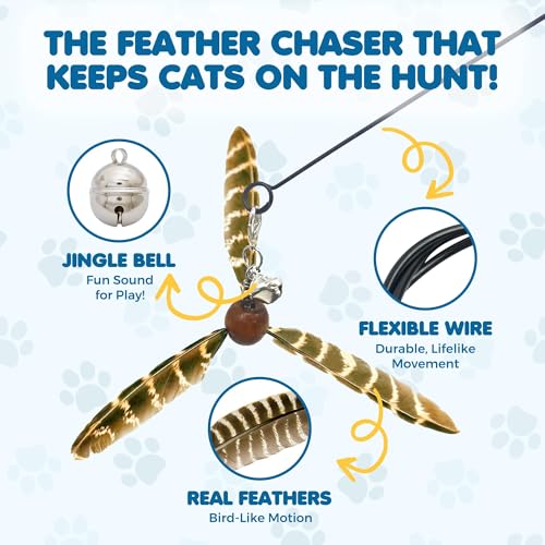 SunGrow Brown Feather Wand, Interactive Indoor Cat Toy with 1 Fishing Pole (34”) and 3 Feather Teasers (7”), Flexible Rod, Feline Fitness and Entertainment, 1 Set Per Pack