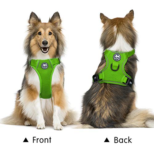 PoyPet Reflective Soft Breathable Mesh Dog Harness Choke-Free Double Padded Vest with Adjustable Neck and Chest(Grass Green,S) - color: Grass Green, size: S