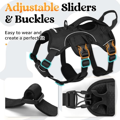 rabbitgoo Escape Proof Dog Harness, Soft Padded Full Body Pet Harness, Reflective Adjustable No Pull Vest with Lift Handle and Leash Clip for Large Dogs Walking Hiking Training, S, Black - color: Black, size: Small (Pack of 1)