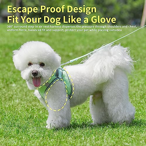 Tiny Dog Harness, All Weather Diamond Mesh, Reflective Stripes, No Pull Step in Lightweight Vest Harness for Puppy, Small Dogs and Cats Sage XXXS - color: Sage, size: XXXS