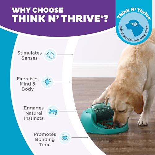 Outward Hound by Nina Ottosson Spin N' Eat Dog Puzzle and Slow Feeder, Level 2 Intermediate Enrichment Toy, Green - color: Spin N' Eat (Green)