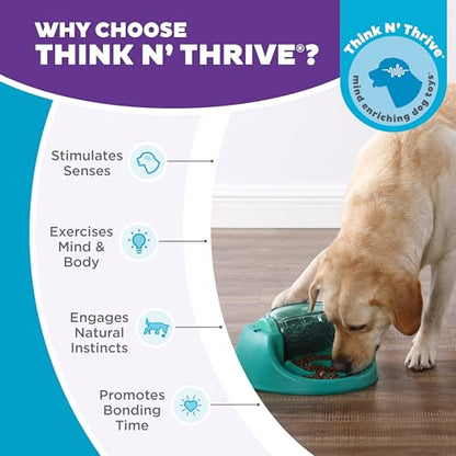 Outward Hound by Nina Ottosson Spin N' Eat Dog Puzzle and Slow Feeder, Level 2 Intermediate Enrichment Toy, Green - color: Spin N' Eat (Green)
