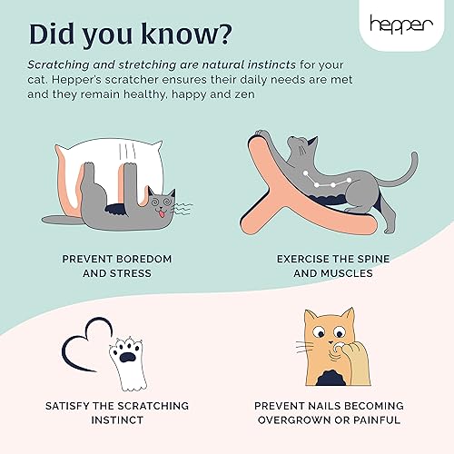 Hepper Hi-Lo Cardboard Cat Scratcher with Real Wood & Metal Frame - 3-Position Cat Scratchers for Indoor Cats - Curved Cat Scratching Board Activates Muscles - Cat Scratching Post for Large Cats - size: Hepper Hi Lo Scratcher Unit