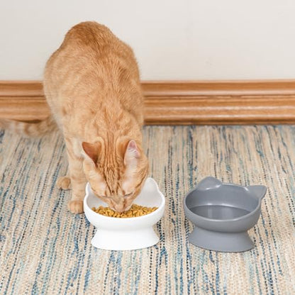 Kitty City Elevated Cat Bowls (Set of 2), Whisker-Friendly Raised Cat Food & Water Dishes, Modern Pedestal Design, Dishwasher Safe, 6.5 oz Each – White & Gray - color: White & Gray, style: Small