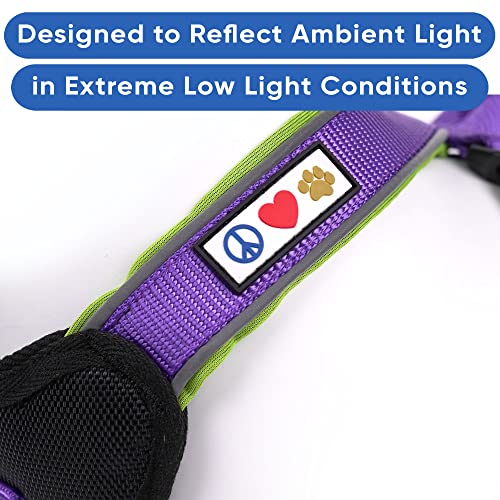Pawtitas Reflective Padded Dog Harness for X-Small Dogs – Adjustable Puppy Step-in Vest | Fits Chest 14–18 in | No Pull Training Harness | XS | Purple - color: Purple, size: X-Small (Pack of 1)