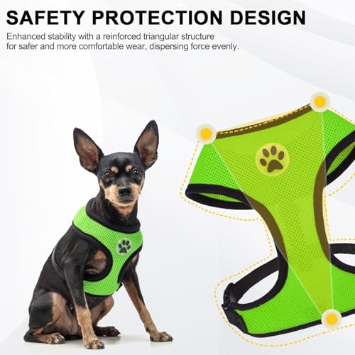 BINGPET Small Dog Harness, No Pull Dog Harness Small Sized Dogs, Soft Light Breathable Mesh Puppy Vest with Safety Buckle-Adjustable Step in Pet Harnesses for Easy Walking, Running, Training - color: Green, size: XS (NECK: 10", CHEST: 10"-14")
