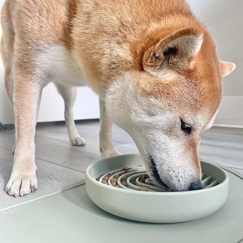Should We Go? Slow Feeder for Dogs & Puppies, The Slowdown Bowl Silicone Slow Eating, Modern Lick Mat Design, Reduces Gulping, Fits 2 Cups, 7.5” Across x 1.5” Tall, Mealtime Challenge, Medium-Sage - color: Sage - Rainbow Design, size: Medium (7.5” Across