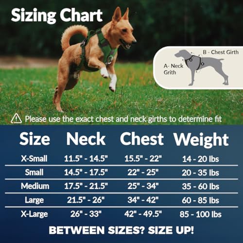 No Pull Dog Harness - Durable Polyester Puppy Harness with Front Anti-Pull Loop, Reflective Strips, and Quick-Release Clips for Small, Medium, and Large Dogs (Berry Purple, Large) - color: Berry Purple, size: Large