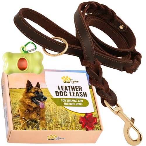 ADITYNA - Double Handle Leather Dog Leash 6ft - Heavy Duty Braided Dog Leash with Traffic Handle - Lead for Training and Walking Medium Large Breeds (Brown, Two Handles 6 Foot x 5/8") - color: Brown, size: Two Handles 6 foot x 5/8"