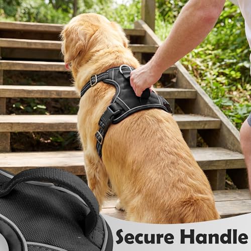 Funfox Dog Harness Small Sized Dog, Vertical Handle Easy Control, No Pull Pet Vest Adjustable with 2 Leash Clips, Soft Material, Reflective Safe Night Walking for Small Medium Large Breed, Black, S - color: Black, size: Small