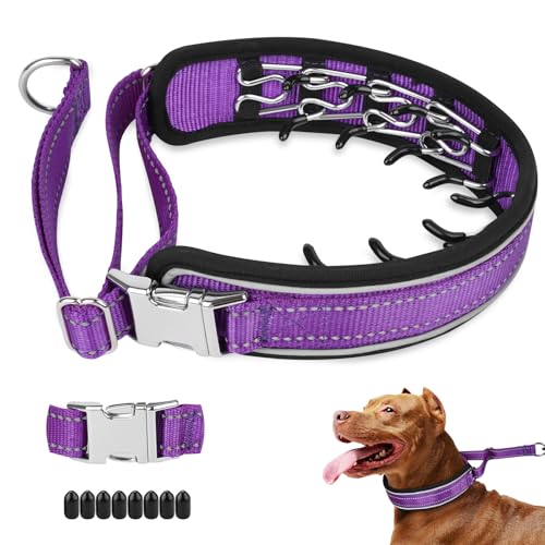 Mayerzon Prong Collar for Large Medium Dogs, Patented Reflective Pinch Collar with Metal Buckle, No Pull Adjustable Hidden Covered Dog Walking Training for Pitbull German Shepherd Doberman(Purple, XL) - color: Purple, size: X-Large: 18''-26''