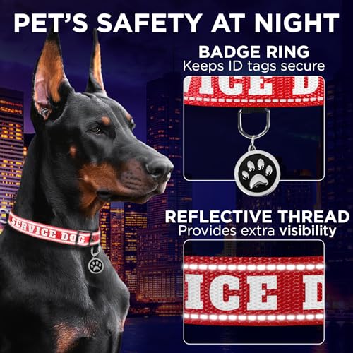 TECEUM Reflective Pet Collar – Red - Service Dog – M – Extra Soft Padding – Basic Nylon Dog Collar – Quick Release Buckle – Fits Small, Medium and Large Dogs, Puppies, Cats - color: Red - Service Dog, size: Medium