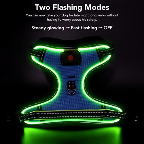 Safety LED Dog Harness - Light Up Dog Vest, No-Pull Dog Harness - Rechargeable Glowing Pet Harness for Night Walking & Camping (Blue+Green Light, Medium) - color: Blue+Green Light, size: Medium