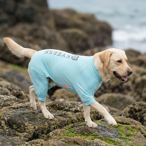 KYEESE UV Protection Dog Shirt, UPF 50+ Cooling Summer Jumpsuit for Medium Large Dogs, Breathable Reflective Shedding Control Dog Sun Shirts, Quick-Dry Dogs Onesie Pet Clothes, Blue, 2XL - color: Blue, size: XX-Large (40-58lbs)
