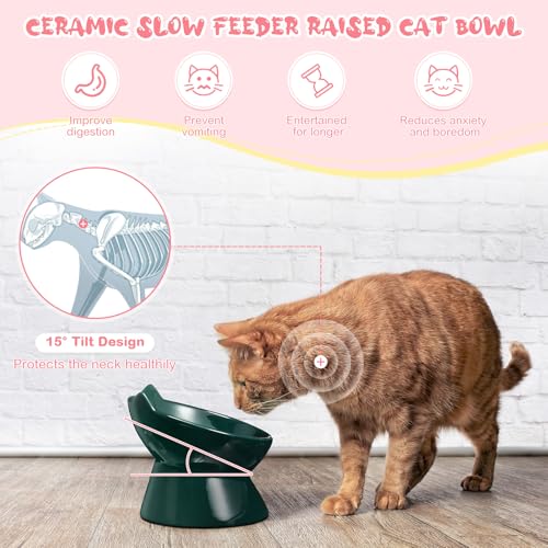 Funnymoom 2 Pcs Ceramic Raised Slow Feeder Cat Bowl, 5.91inch Elevated Cat Slow Feeder Bowl Tilted Anti Vomiting for Dry Wet Food and Water Easy to Clean High Edge(Dark Green, Pink) - color: Dark Green, Pink