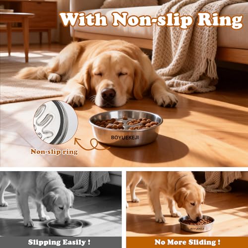 BOYUEKEJI Stainless Steel Slow Feeder Dog Bowl, 304 Grade MetalPet Food Bowl, Teddy Cat Design Insert, Healthy Feeding Solution for Dogs, Cats