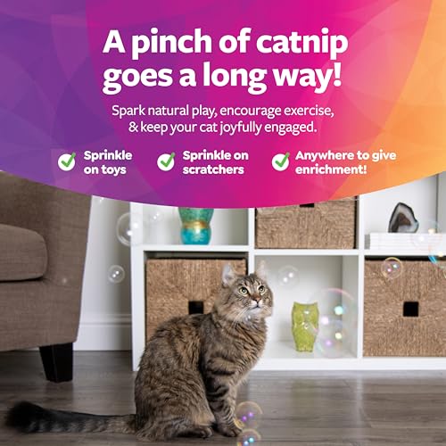 SmartyKat Bubble Nip Catnip Bubbles for Cats & Kittens, Safe for Pets - Trial Size, 0.6 Fluid Ounce - size: 0.6 oz, style: Catnip Bubble