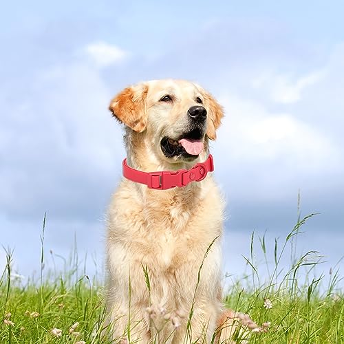Waterproof Dog Collar Soft Rubber Dog Collar with Safety Buckle Adjustable Pet Collar for Small Medium Large Dogs - color: Red, size: L
