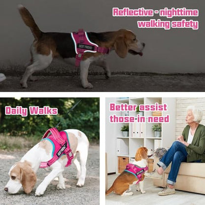AUROTH Dog Harness and Leash Set, Soft Padded Service Dog Vest with 5.25FT Dog Leash, No Choke, Easy On Pet Vest, Adjustable Reflective No Pull Pet Vest Medium Sized Dog, Easy Walking and Training - color: Rose Red, size: Medium