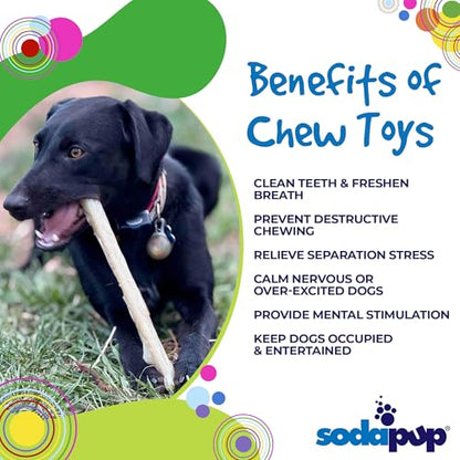 SodaPup Chew Stick – Durable Dog Chew Toy Made in USA from Non-Toxic, Pet Safe, Food Safe, Nylon Material for Mental Stimulation, Clean Teeth, Fresh Breath, Problem Chewing, Calming Nerves, & More - color: Natural Nylon Brown Stick