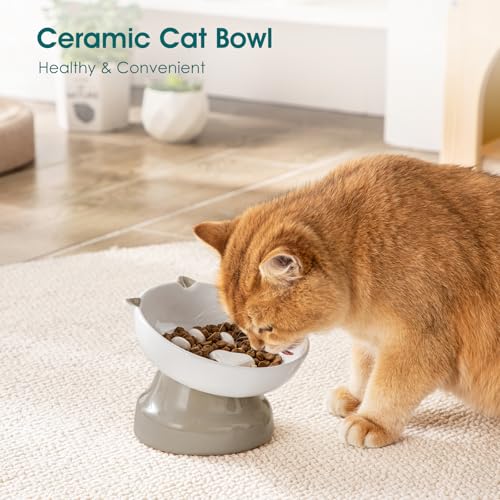 vancasso Ceramic Elevated Slow Feeder Cat Bowls,Slow Feeder Elevated Cat Bowl Wet Food, Raised Cats Bowl for Indoor Cats (Grey) - color: Grey