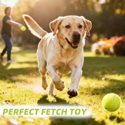 PoyPet 16-Pack Tennis Balls Bulk for Practice,Training and Beginners | Ideal for Dog Fetch,Chew and Play - color: Yellow