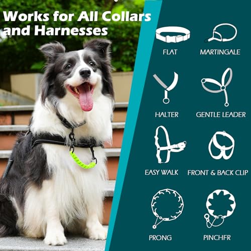 Dog Collar Safety Clip, Handmade Backup Safety Strap for Dog Harness, Prong, Pinch Collar, Double Ended Clasp Leash Connector (Neon Green) - color: Neon Green