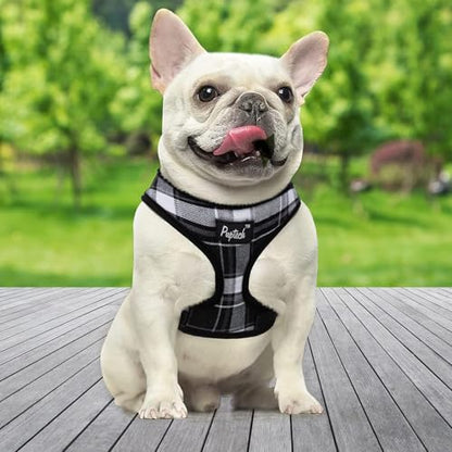 PUPTECK Soft Mesh Dog Harness and Leash Set Pet Puppy Cat Comfort Padded Vest No Pull Harnesses, Black, XS - color: Black, size: XS (NECK: 10", CHEST: 10"-14")